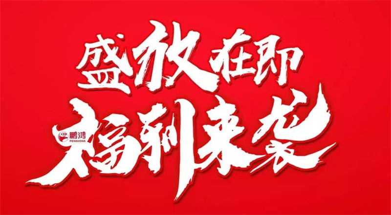 再拓疆域！鵬鴻We+定制&紅星美凱龍聯(lián)袂亮相烏魯木齊